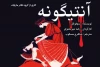 آنتیگونه