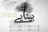 بینایی
