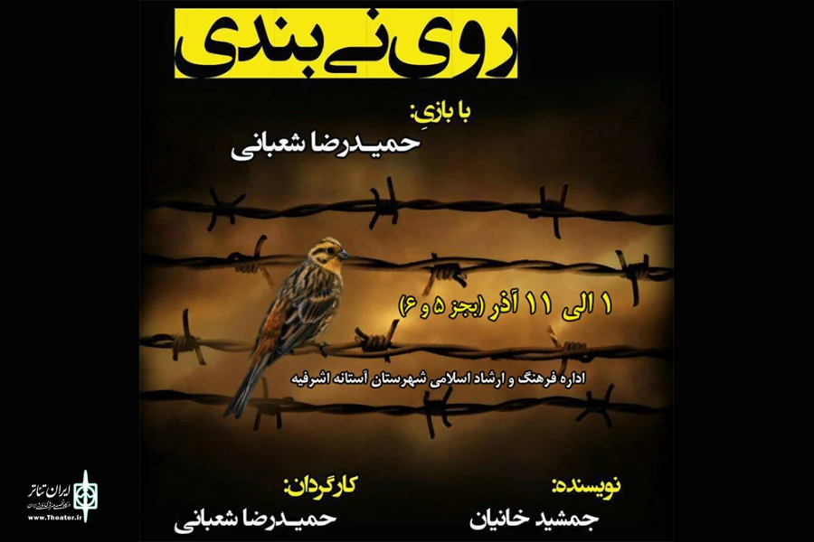 روی نی بندی