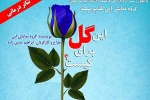اجرای نمایش «این گل برای کیست؟» 2