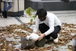 نخستین جشنواره سراسری تئاتر خیابانی «سردار جنگل»