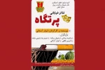 «پرتگاه» نمایش داده شد 2