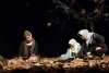 شکوه برف