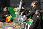 گربه نارنجی