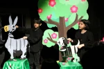 گربه نارنجی