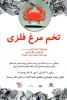 تخم مرغ فلزی در رشت 2