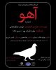 متاسفانه جشنواره ی تآتر گیلان، دیگر آن شور و شوق سابق را ندارد!  4