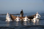 پیر مرد و دریا در دریا  9