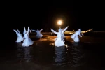 پیر مرد و دریا در دریا  8