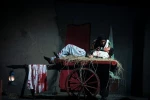 خروس-عکاس حامد کریمی پور