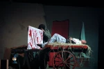 خروس-عکاس حامد کریمی پور