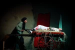 خروس-عکاس حامد کریمی پور