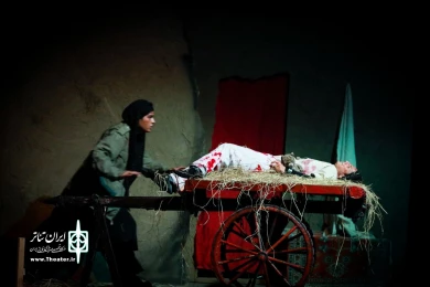 خروس-عکاس حامد کریمی پور